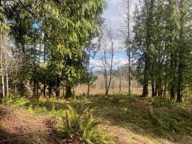 Listing photo 4 of 9, Callahan #27, Scappoose, OR, 97056