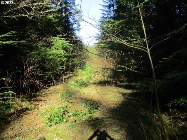 Listing photo 4 of 10, 0 SE Harvey RD, Estacada, OR, 97023