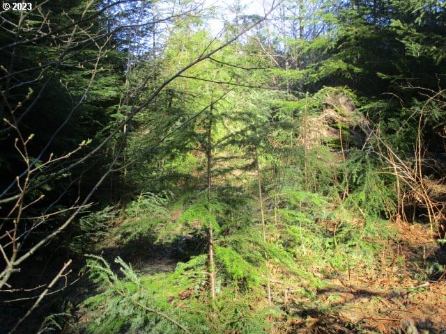 Listing photo 5 of 10, 0 SE Harvey RD, Estacada, OR, 97023