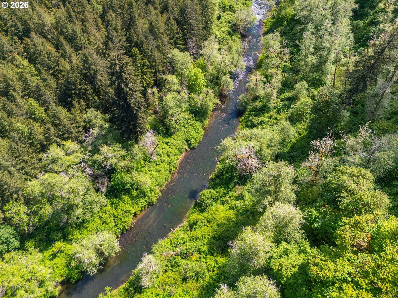 Listing photo 4 of 16, Trapp Creek RD, Toledo, OR, 97391