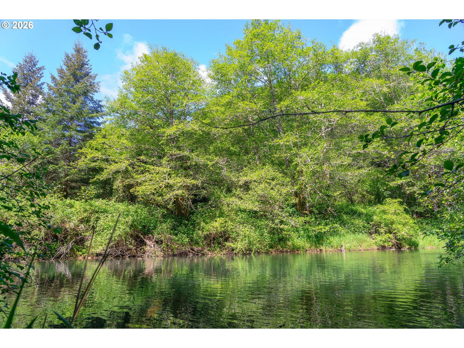 Listing photo 5 of 16, Trapp Creek RD, Toledo, OR, 97391
