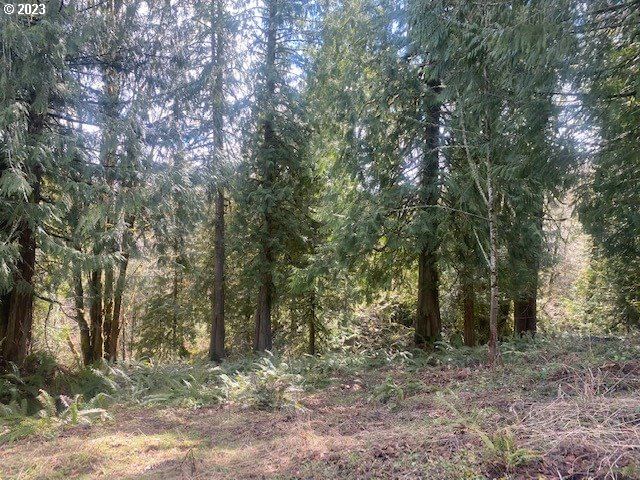 Listing photo 5 of 9, Callahan #28, Scappoose, OR, 97056