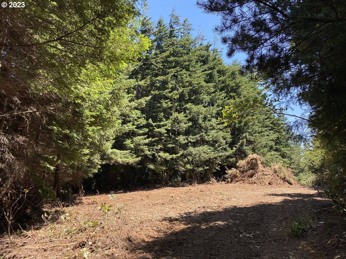 Listing photo 4 of 12, Vista ST, Port Orford, OR, 97465