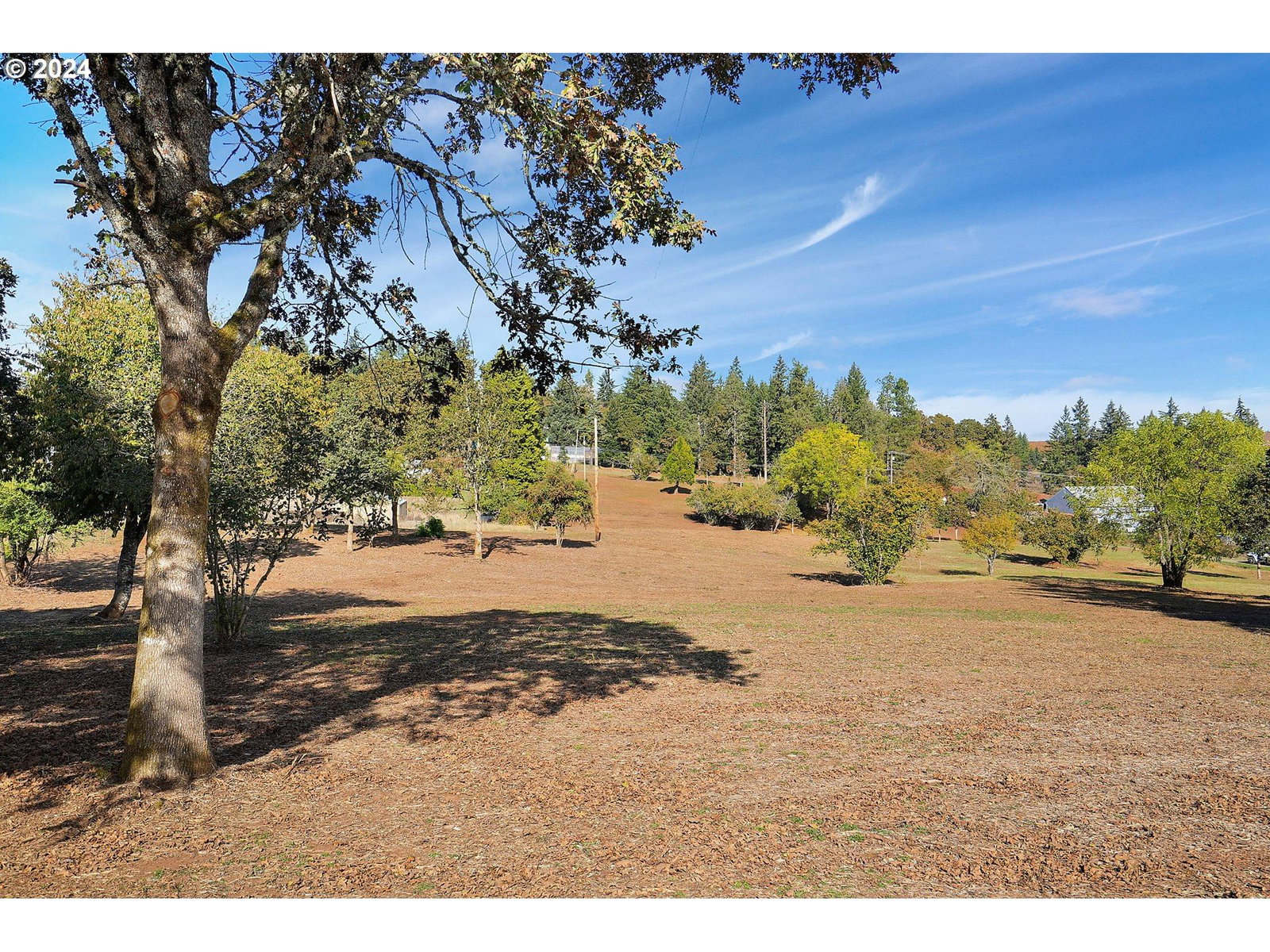 Listing photo 4 of 18, 7845 WILDBERRY LN, Salem, OR, 97306