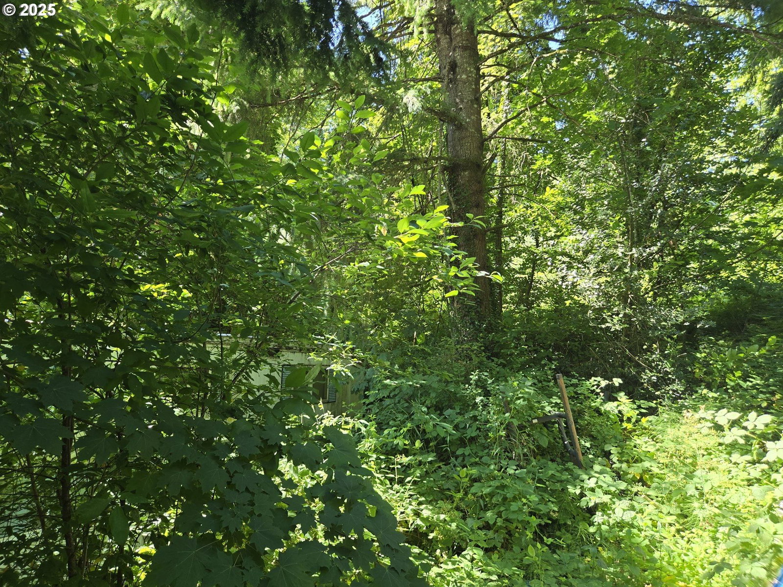 Listing photo 4 of 14, 1225 SW RYAN ALLEN RD, Stevenson, WA, 98648