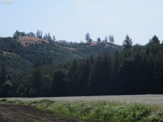 Listing photo 4 of 7, 000 Thomas Creek DR, Scio, OR, 97374
