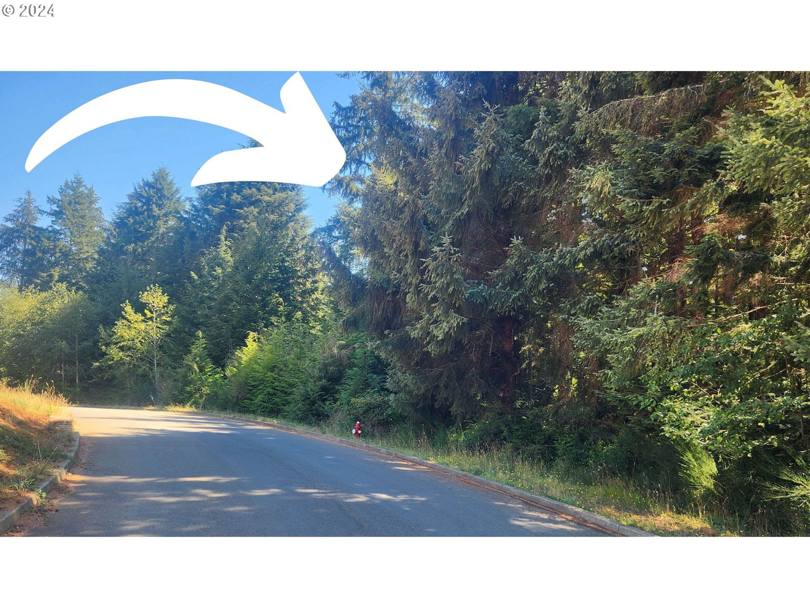 Listing photo 4 of 14, 800 MASTERS CT, Reedsport, OR, 97467