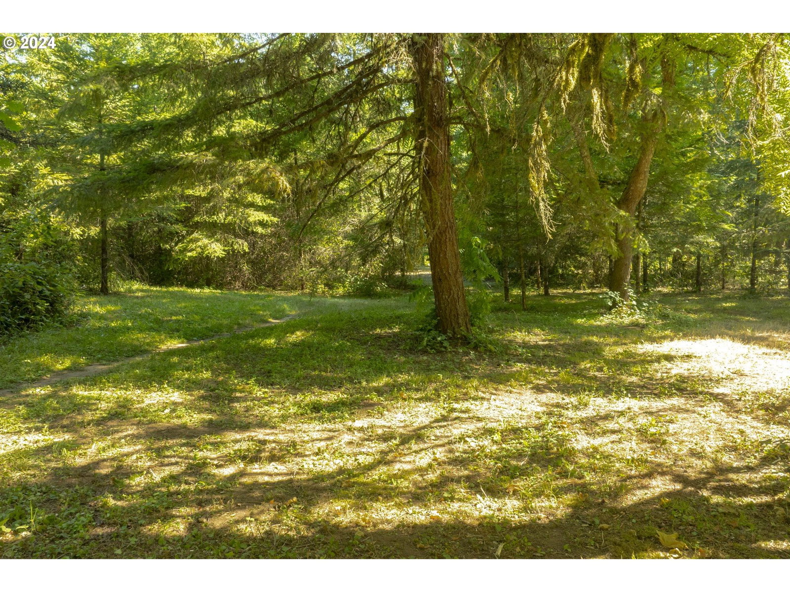 Listing photo 4 of 17, 0 NE Williamson RD, Newberg, OR, 97132