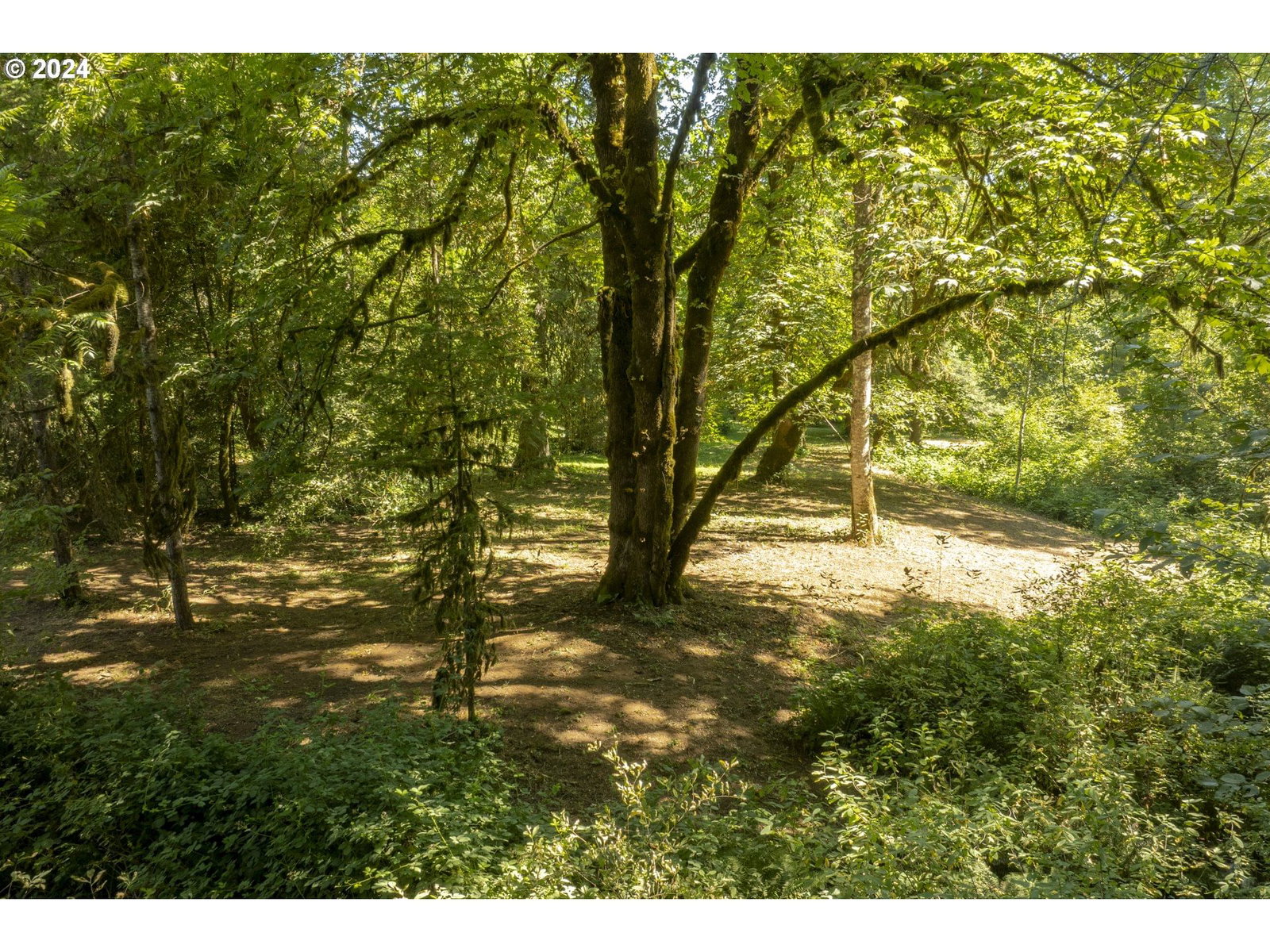 Listing photo 5 of 17, 0 NE Williamson RD, Newberg, OR, 97132