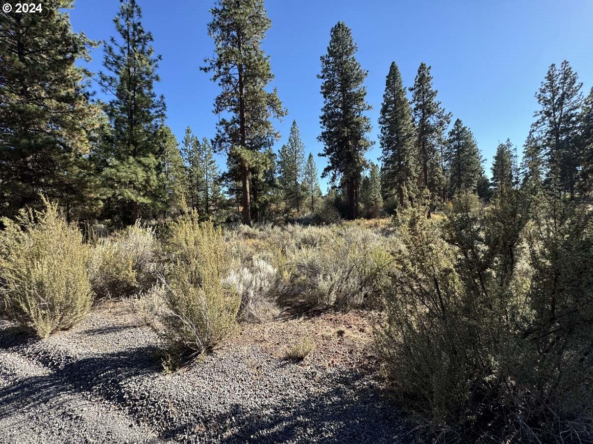 Listing photo 5 of 32, Legget DR ##5, Chiloquin, OR, 97624