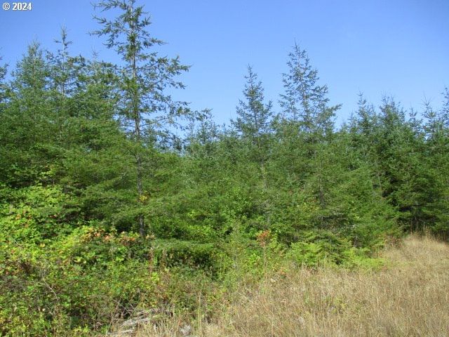 Listing photo 4 of 21, 0000 Bellinger Scale RD, Lebanon, OR, 97355