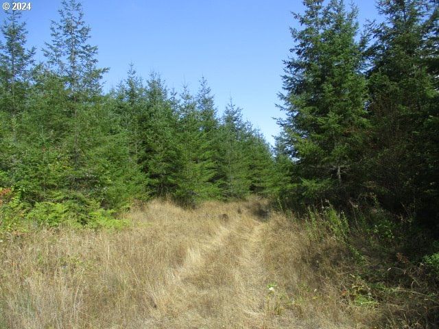 Listing photo 5 of 21, 0000 Bellinger Scale RD, Lebanon, OR, 97355