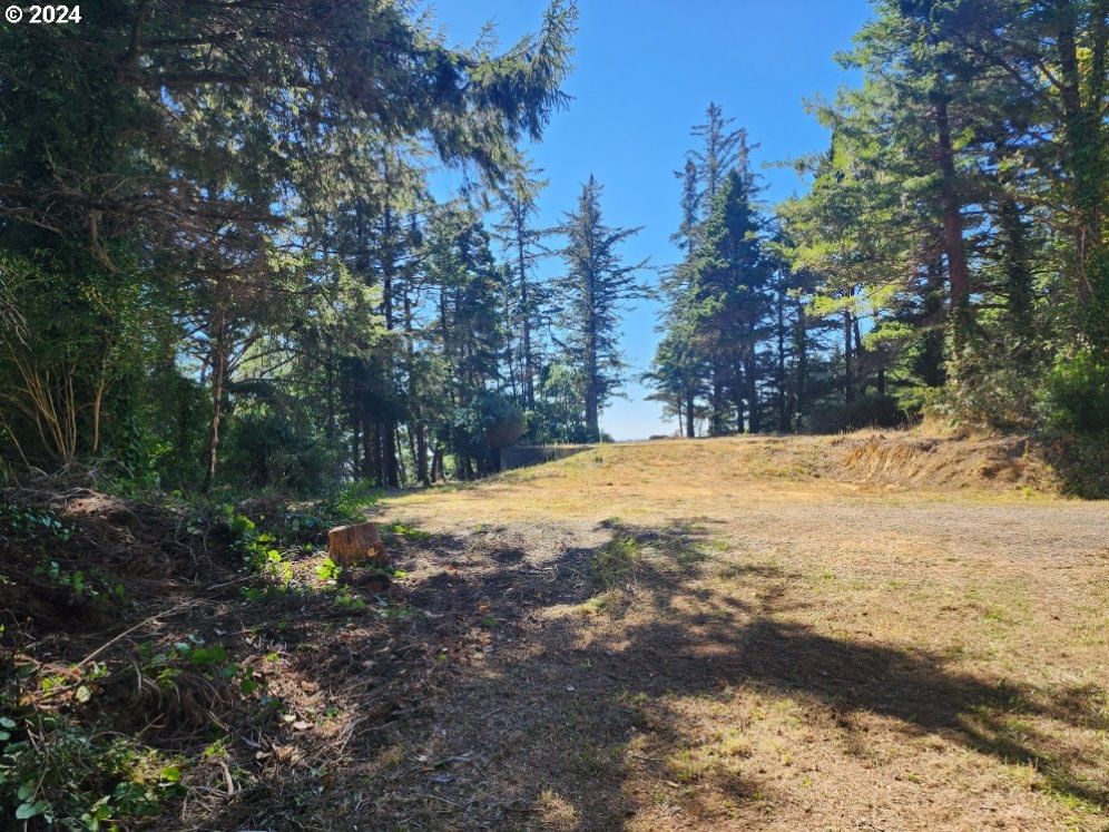 Listing photo 4 of 23, 41565 HIGHWAY 101, Port Orford, OR, 97465