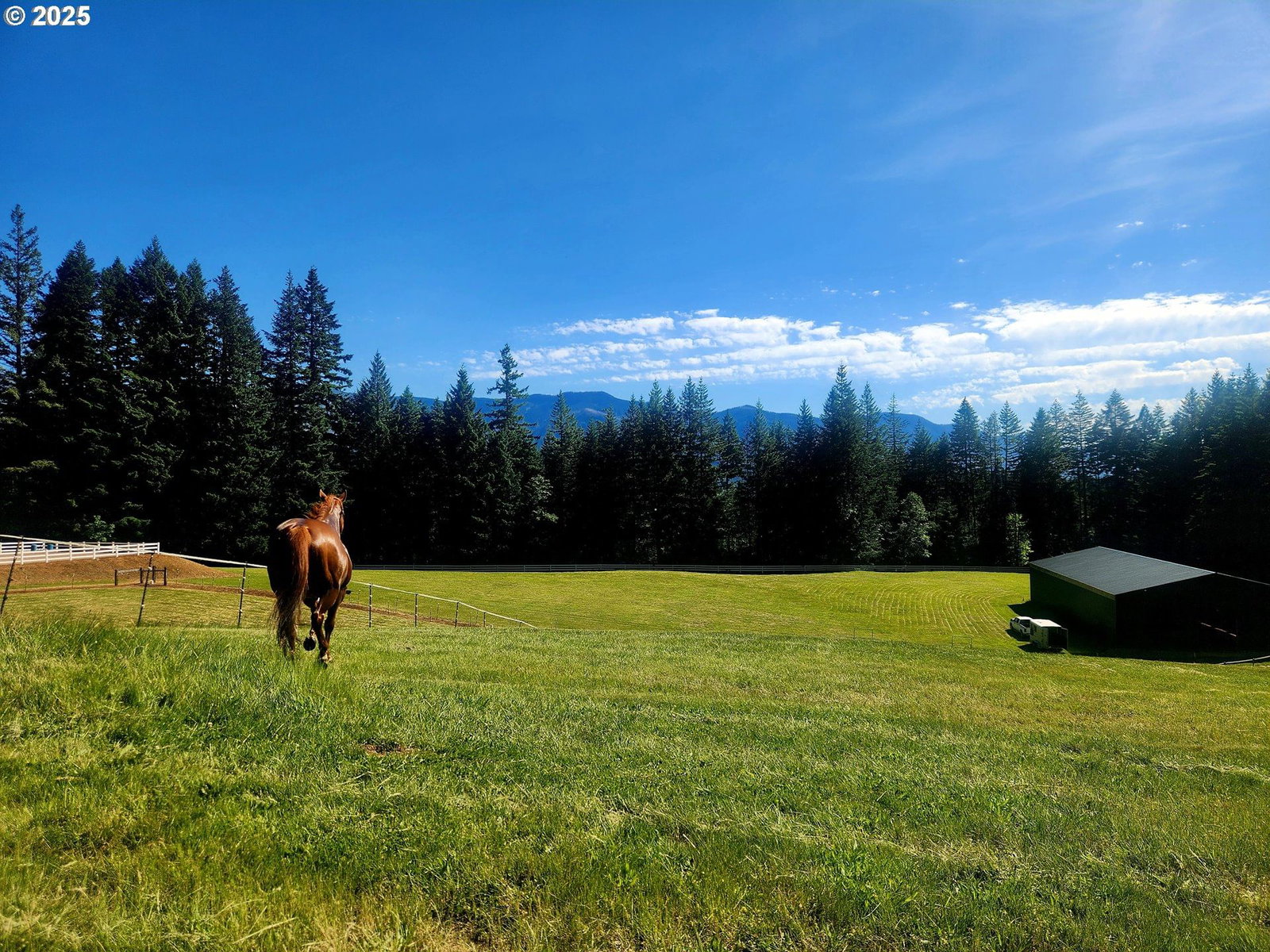 Listing photo 4 of 48, 162 BYLIN RD, Stevenson, WA, 98648