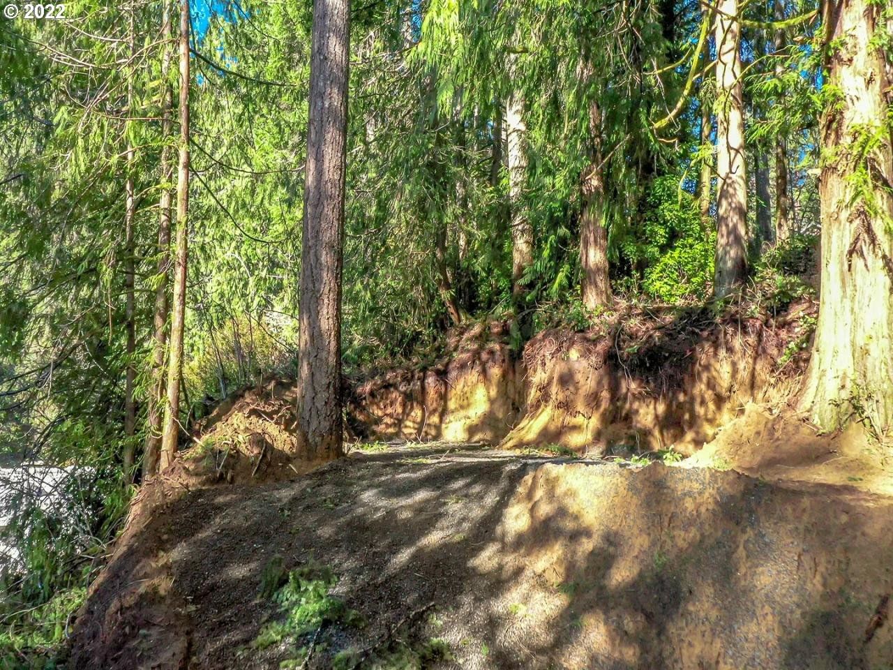 Listing photo 4 of 12, LEVAGE DR #05600, Florence, OR, 97439