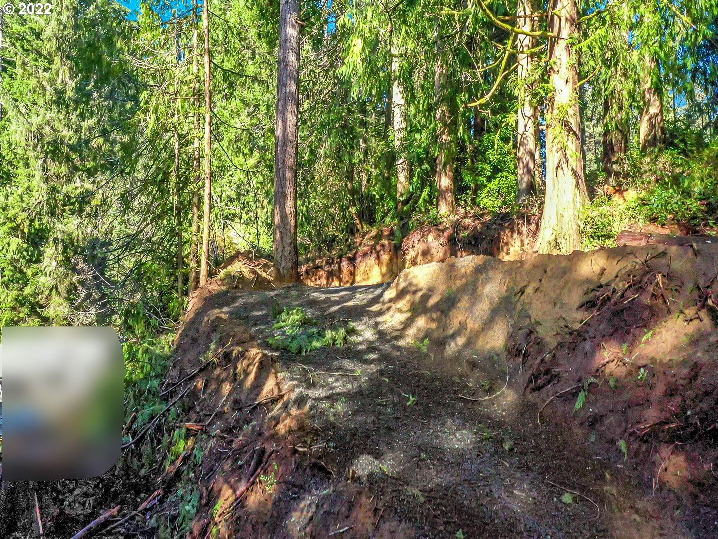 Listing photo 5 of 12, LEVAGE DR #05600, Florence, OR, 97439