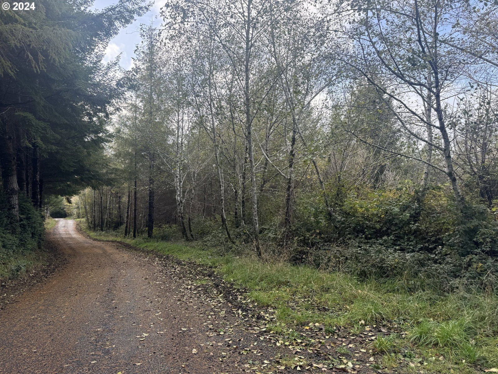 Listing photo 4 of 27, 1 POTATO BOTTOM RD #601, Lakeside, OR, 97449