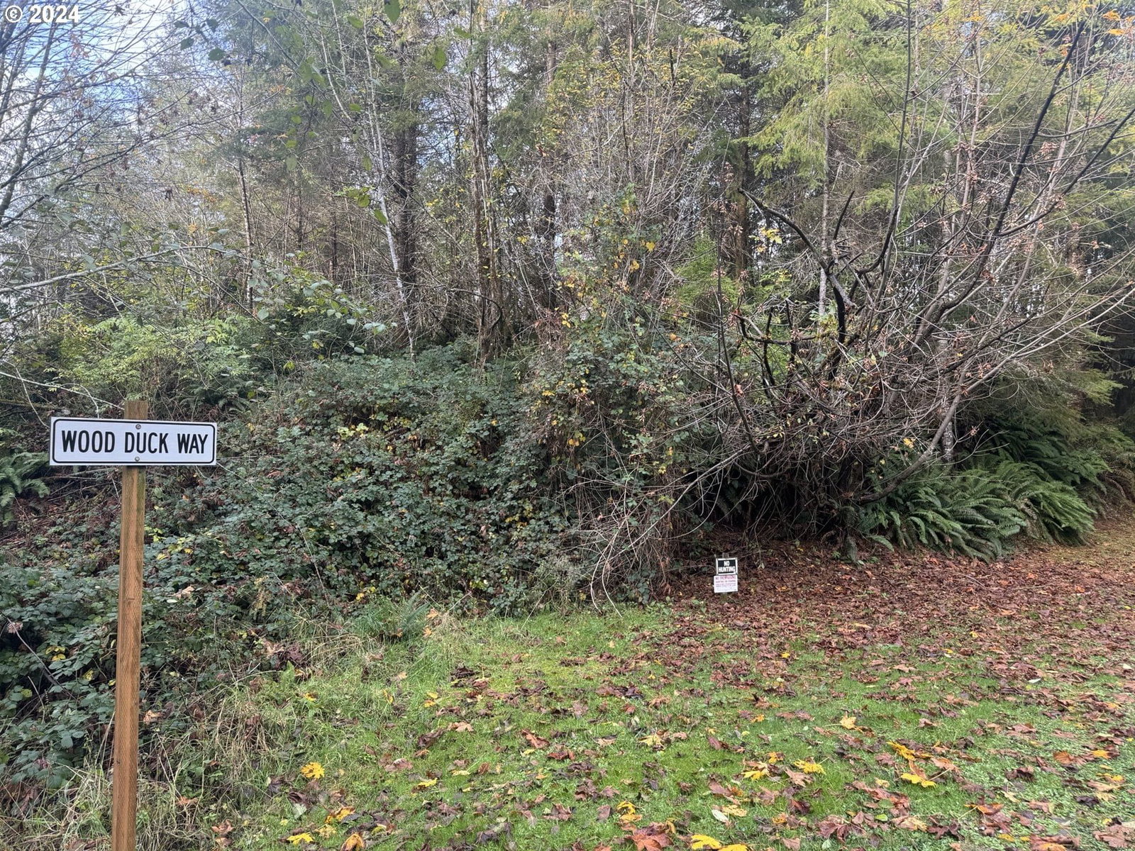 Listing photo 5 of 27, 1 POTATO BOTTOM RD #601, Lakeside, OR, 97449