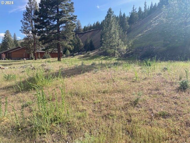 Listing photo 4 of 8, ELKVIEW, Canyon City, OR, 97820