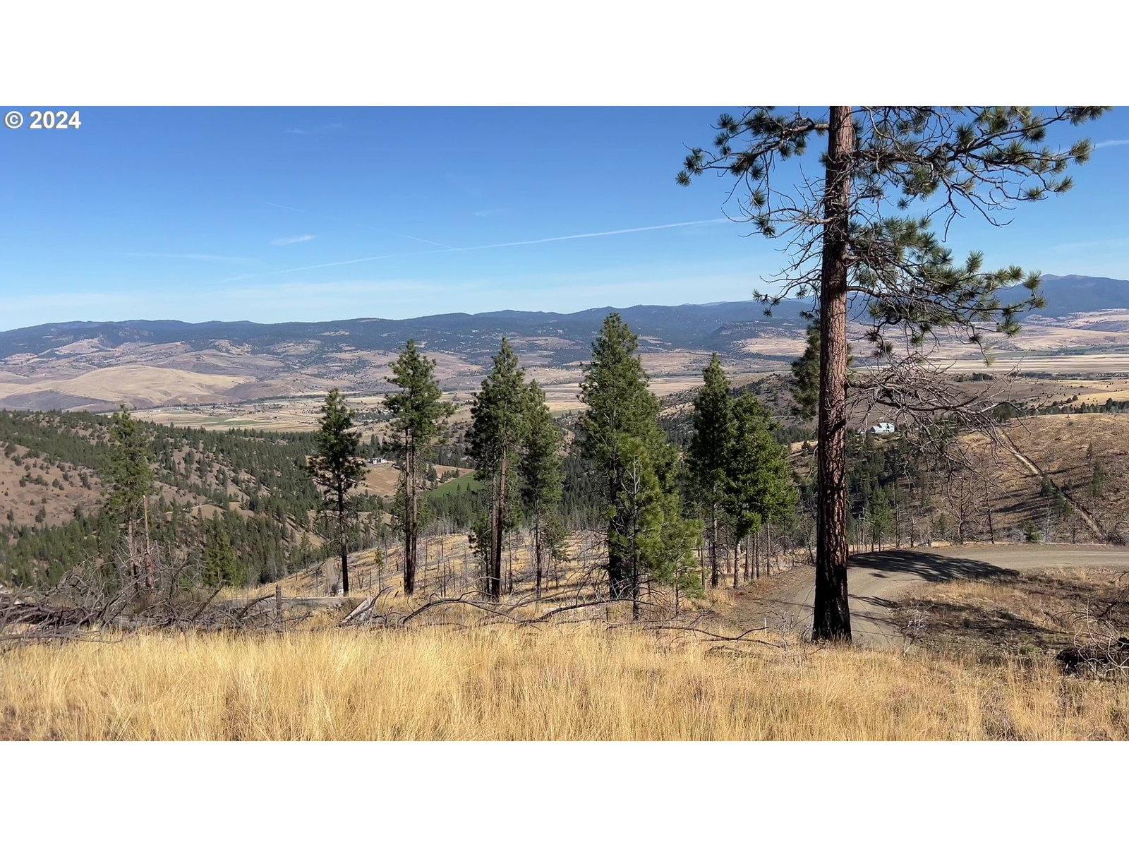 Listing photo 5 of 11, 25422 Baldy Mountain RD, John Day, OR, 97845