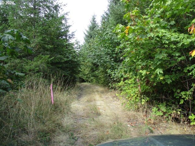 Listing photo 4 of 11, 00 Bellinger Scale (2) RD, Lebanon, OR, 97355