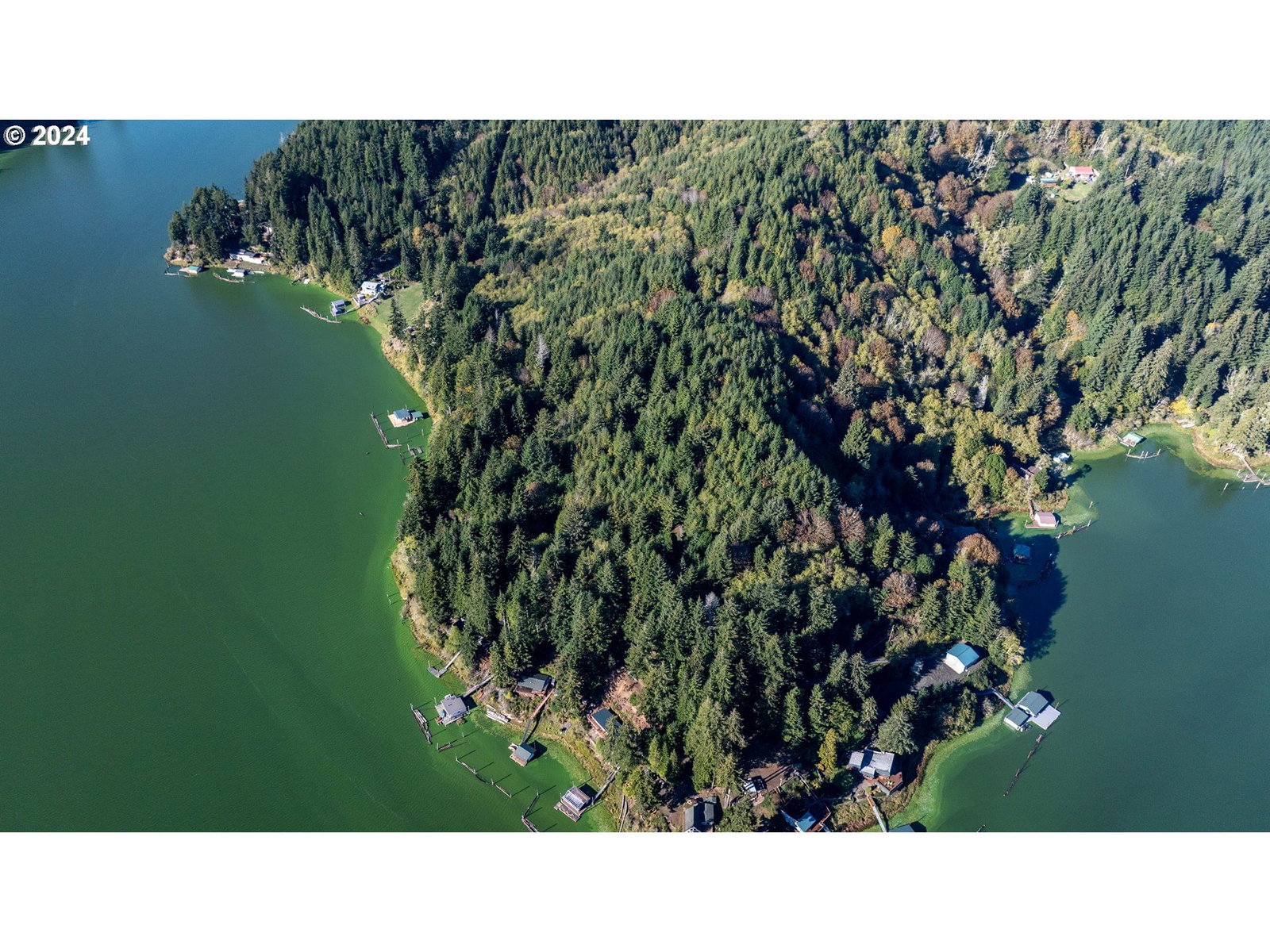 Listing photo 5 of 27, 0 POTATO BOTTOM RD #603, Lakeside, OR, 97449