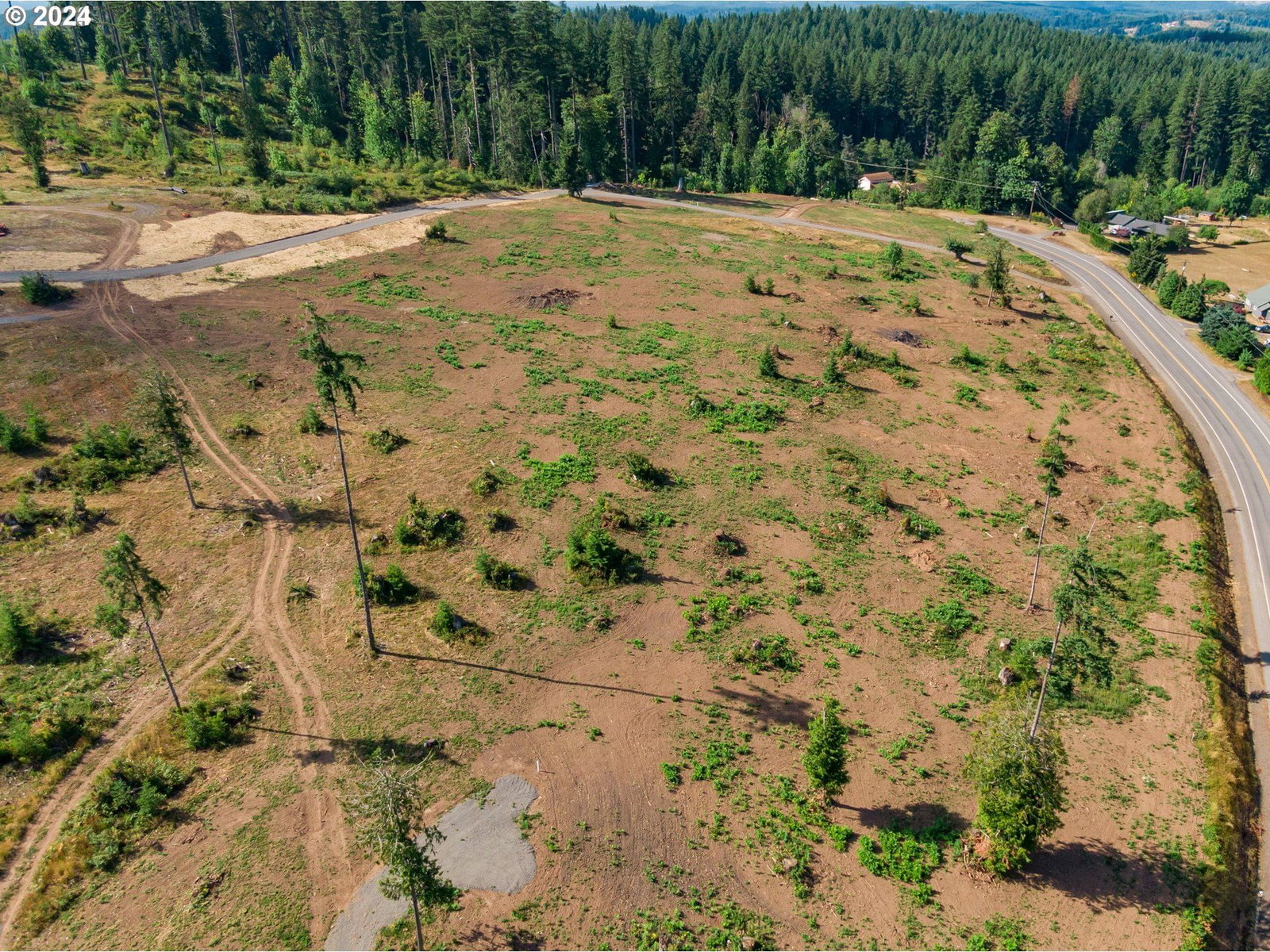 Listing photo 4 of 19, 0 S Silver Lake RD #6, Castle Rock, WA, 98611