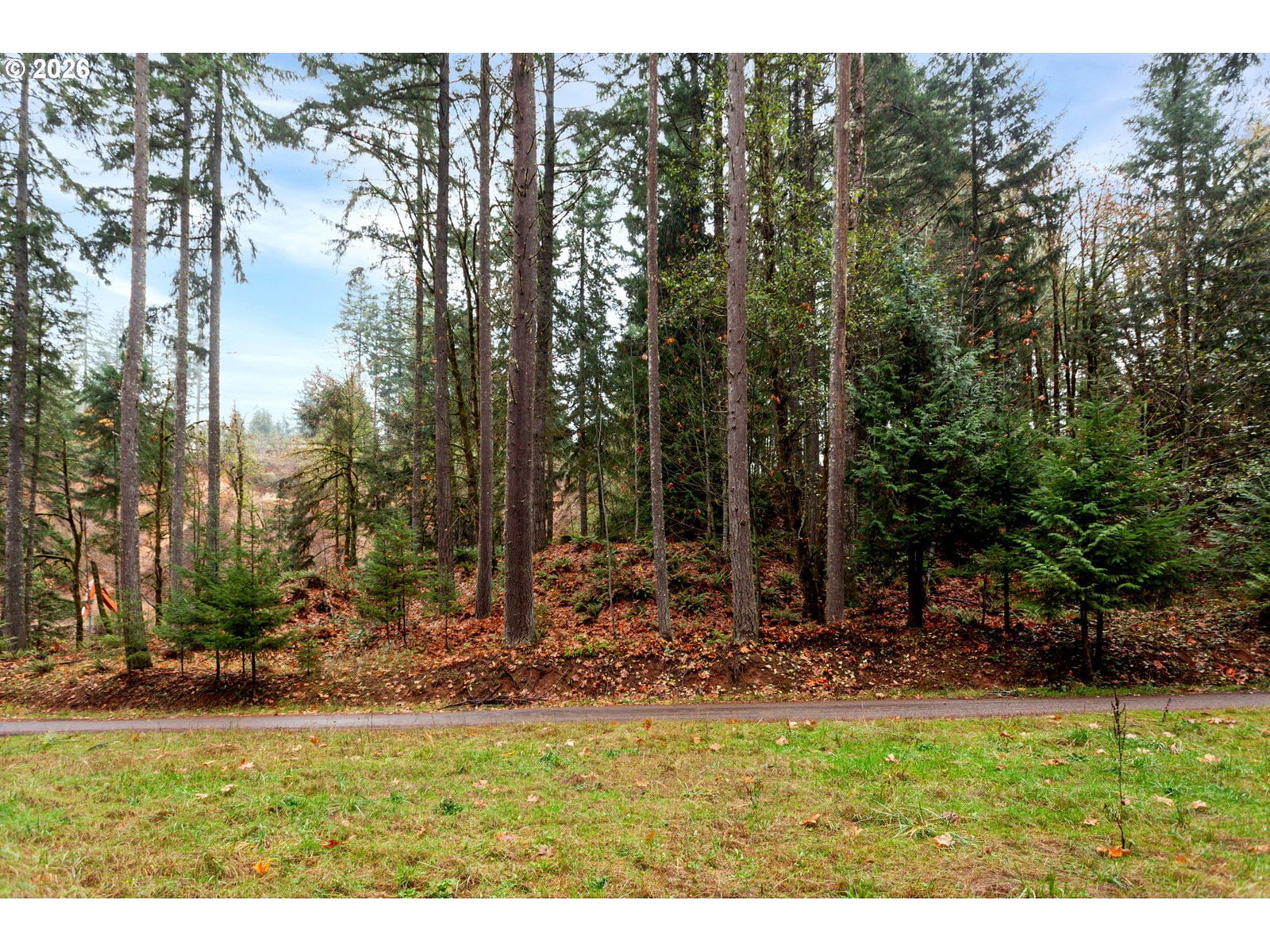 Listing photo 5 of 22, NW Ranch DR, Banks, OR, 97106