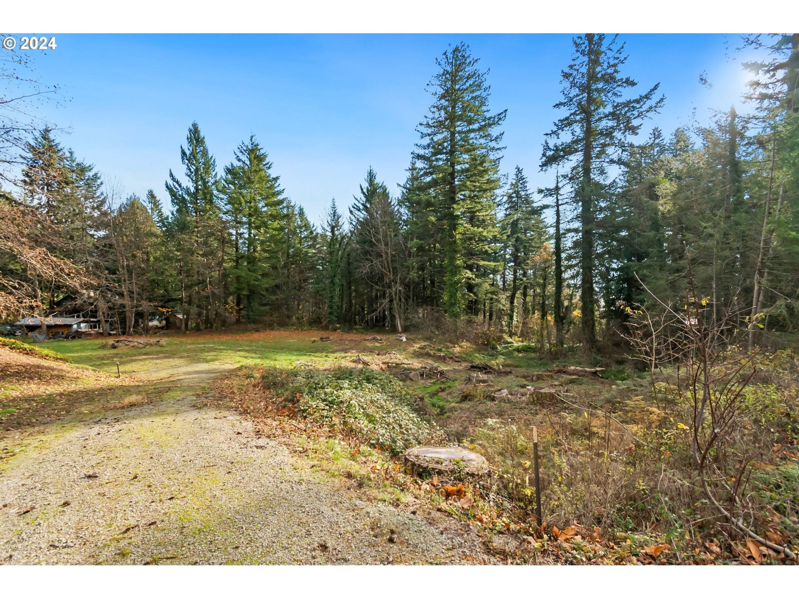 Listing photo 4 of 17, 000 NW School (Lot 2, Land) RD #2, Stevenson, WA, 98648