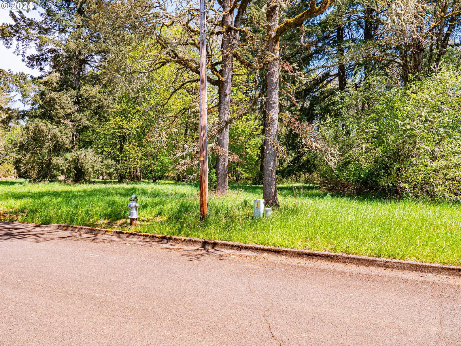 Listing photo 4 of 17, 29th Av #Lot4900, Sweet Home, OR, 97386