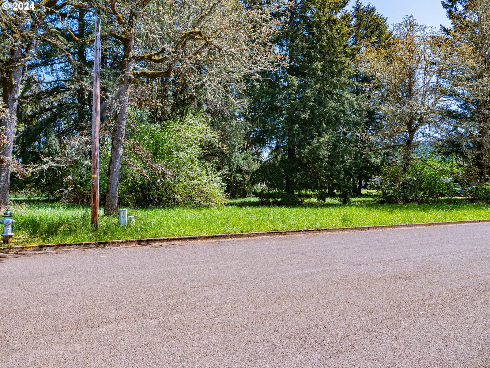 Listing photo 5 of 17, 29th Av #Lot4900, Sweet Home, OR, 97386
