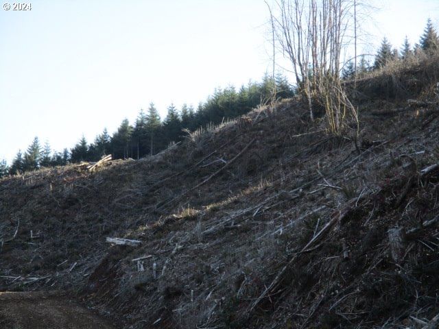 Listing photo 4 of 7, 000 Abiqua Dam (SMALL), Silverton, OR, 97381