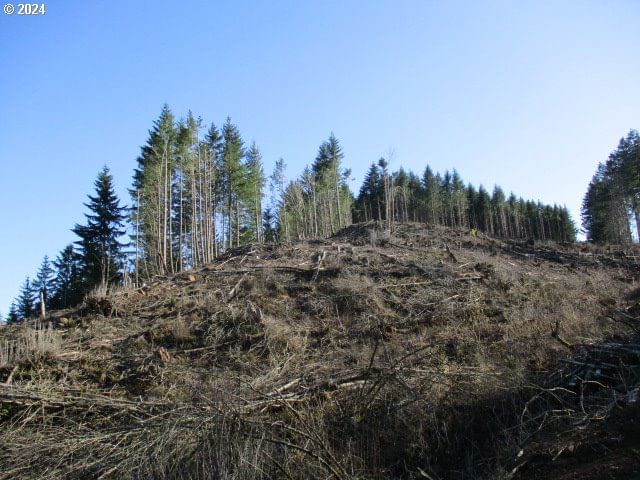 Listing photo 5 of 7, 000 Abiqua Dam (SMALL), Silverton, OR, 97381