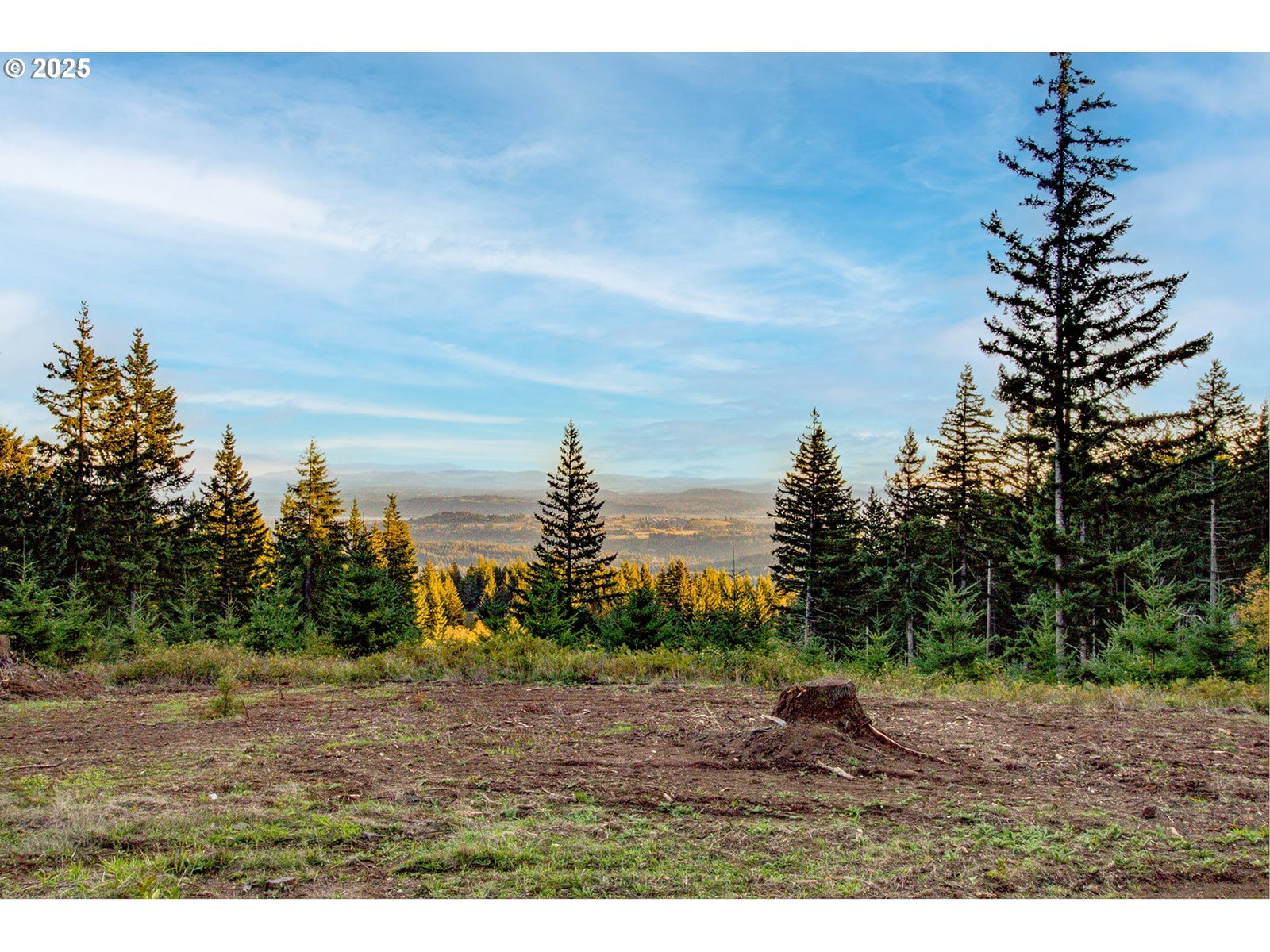 Listing photo 4 of 21, NE Hancock RD #2, Camas, WA, 98607