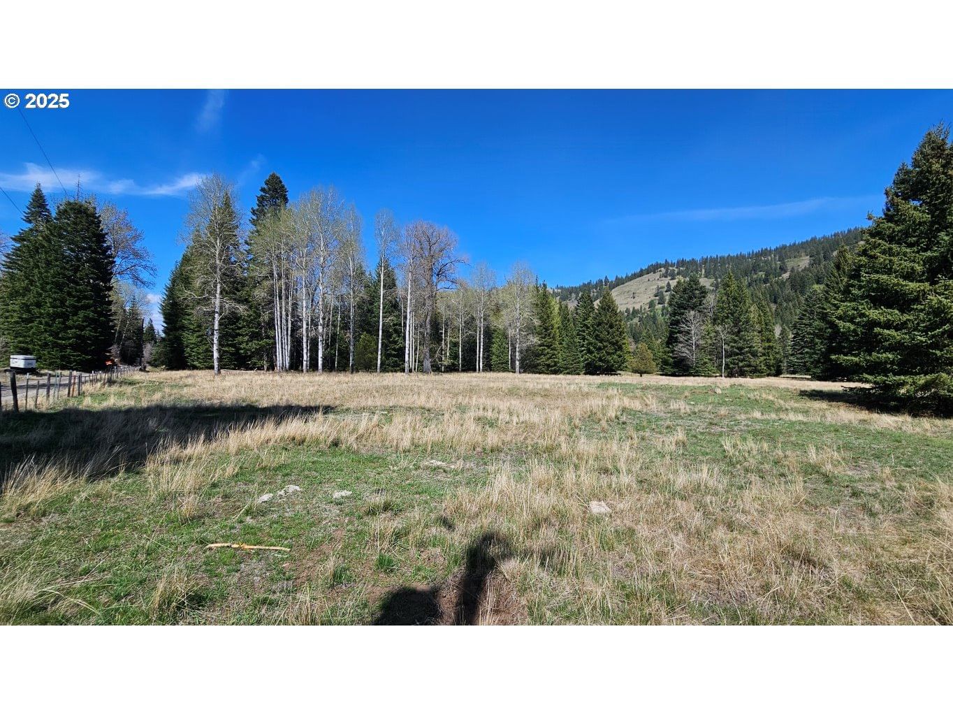 Listing photo 4 of 5, Fir RD, Lostine, OR, 97857