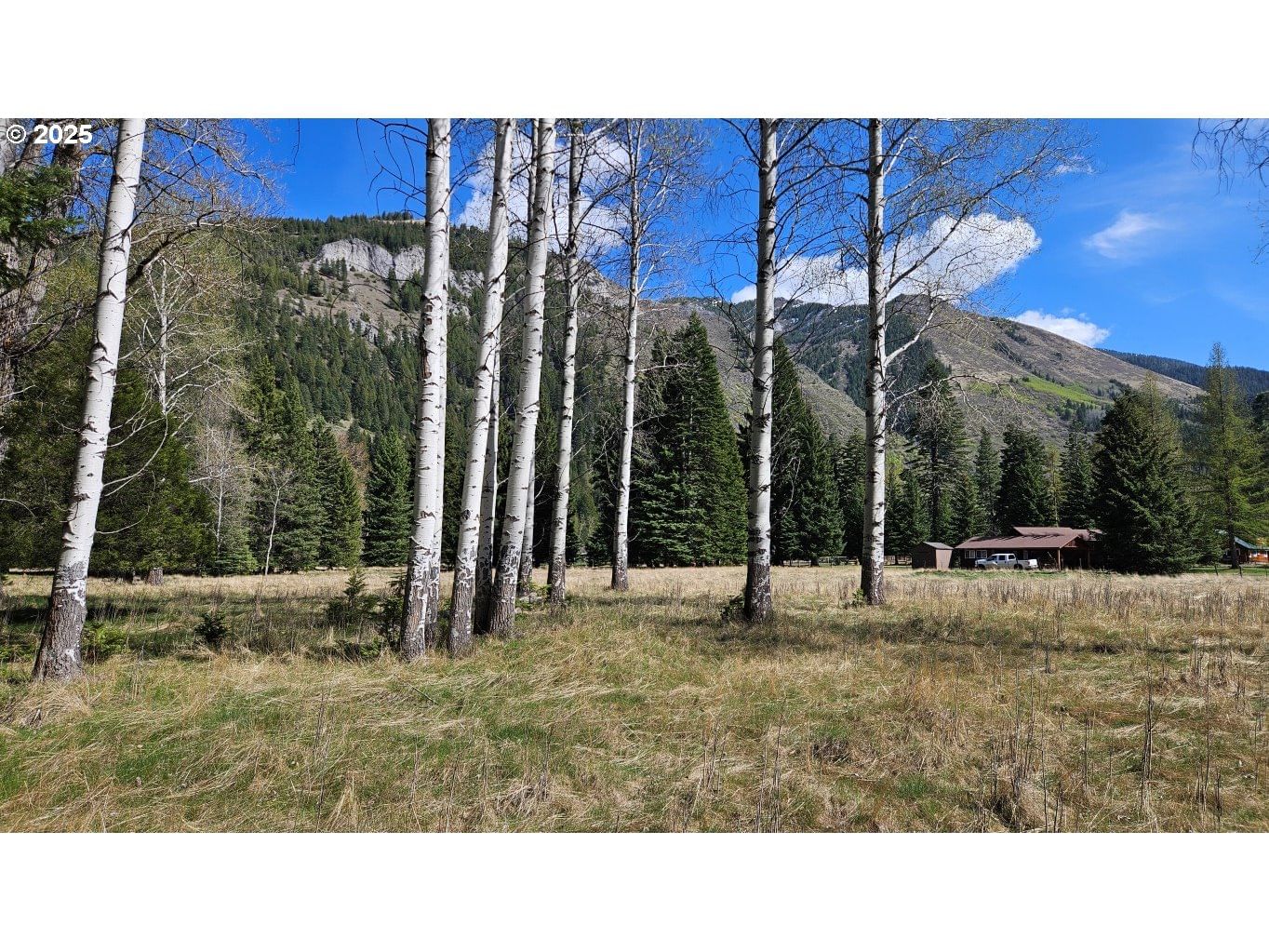 Listing photo 5 of 5, Fir RD, Lostine, OR, 97857