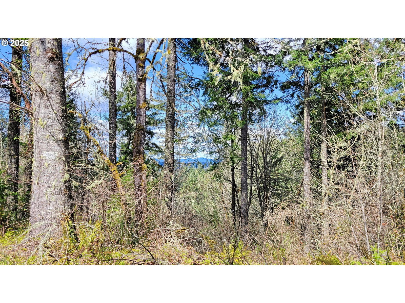 Listing photo 4 of 14, BOLTON HILL RD N, Veneta, OR, 97487