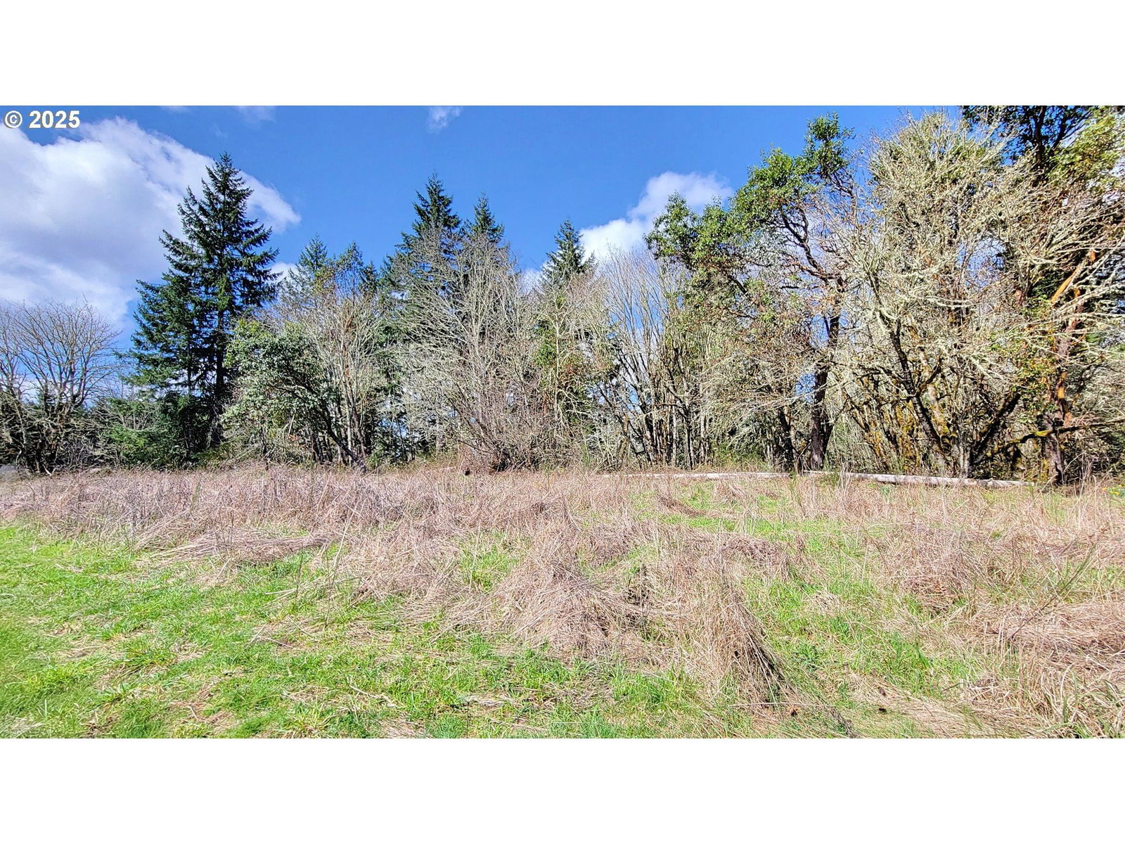 Listing photo 5 of 14, BOLTON HILL RD N, Veneta, OR, 97487