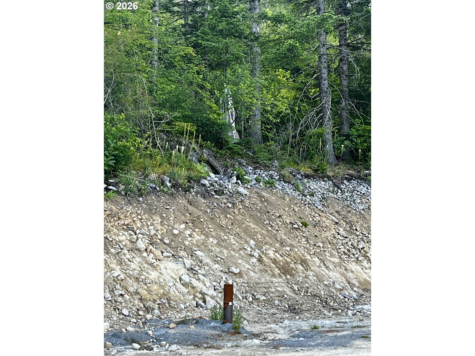 Listing photo 5 of 8, Snag Mountain Rd #110, Washougal, WA, 98671