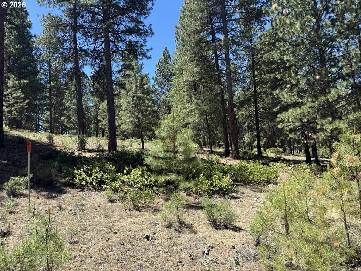 Listing photo 4 of 19, Incline DR #22, Chiloquin, OR, 97624