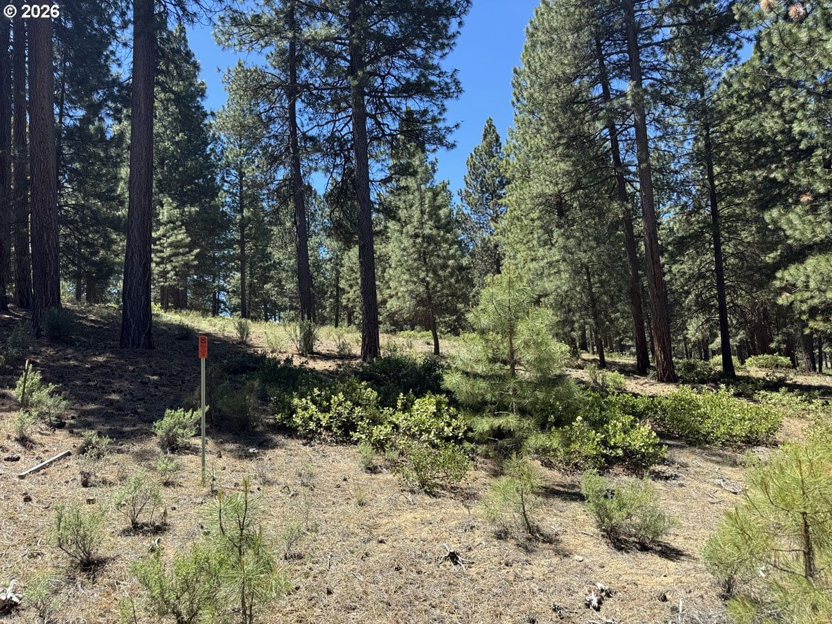 Listing photo 5 of 19, Incline DR #22, Chiloquin, OR, 97624