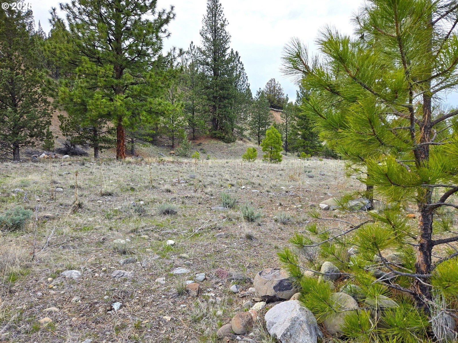 Listing photo 4 of 8, Elkview DR, Canyon City, OR, 97820