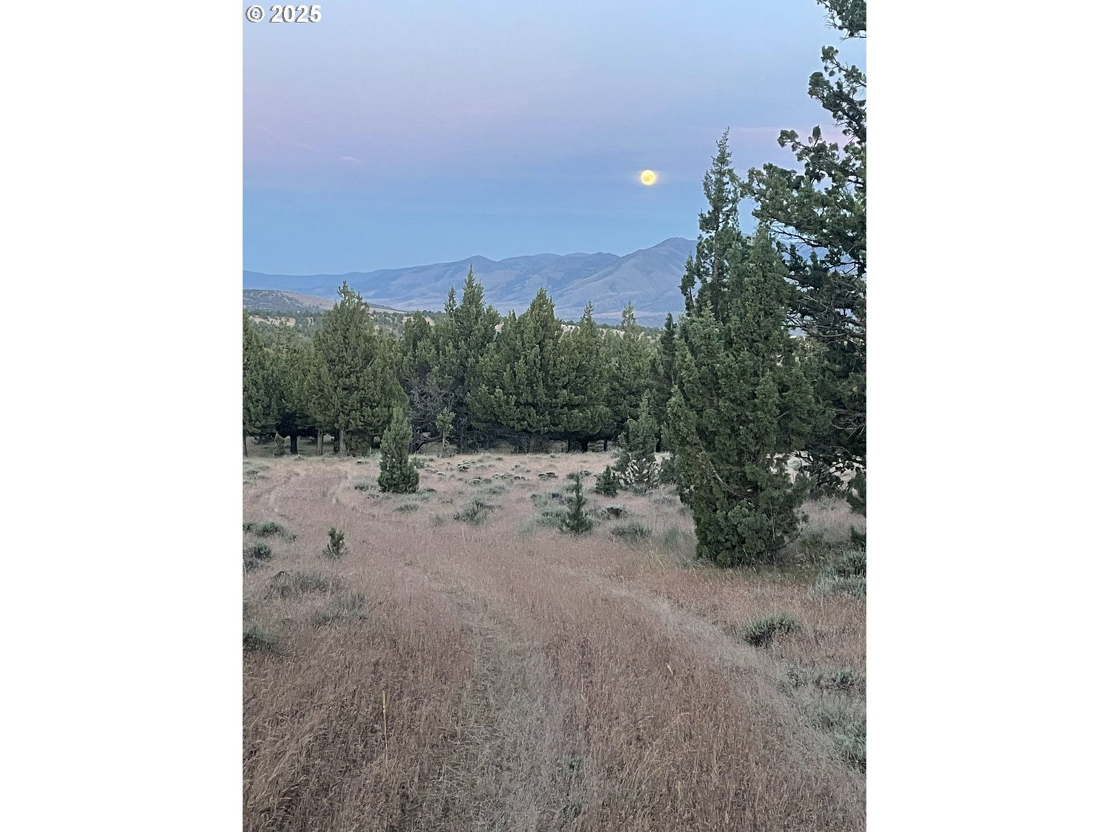 Listing photo 5 of 22, 0 Wiley Creek RD, Dayville, OR, 97825