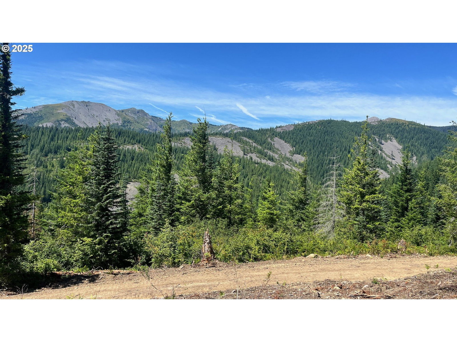 Listing photo 4 of 19, Skamania Mines Rd, Washougal, WA, 98671