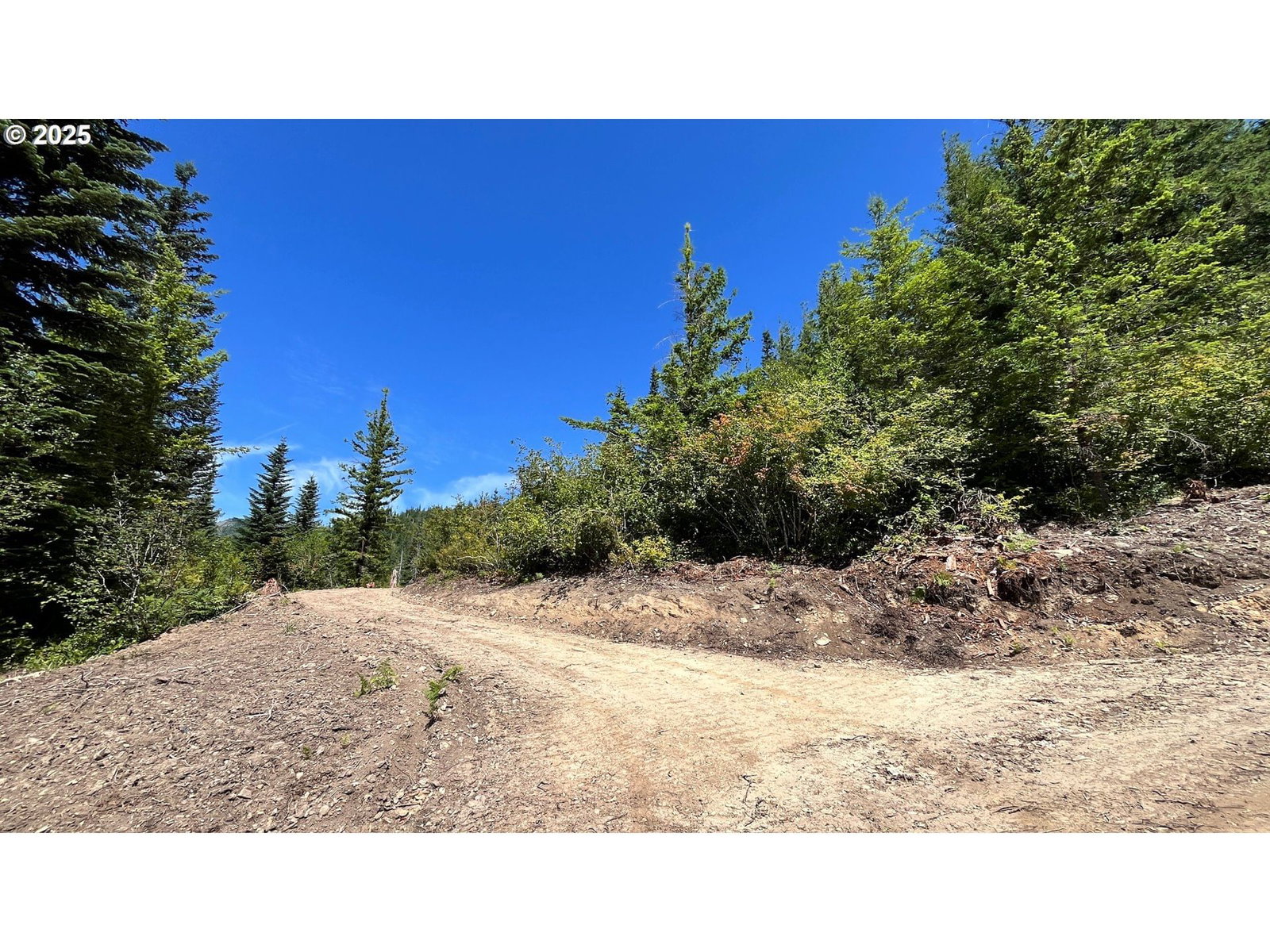 Listing photo 5 of 19, Skamania Mines Rd, Washougal, WA, 98671