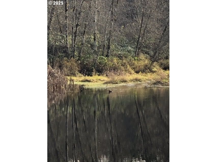 Listing photo 5 of 37, 17719 NE MANNING CIR, Amboy, WA, 98601