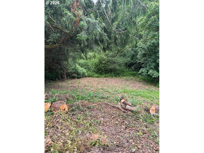 Listing photo 4 of 33, 32720 SE HURLBURT RD, Corbett, OR, 97019