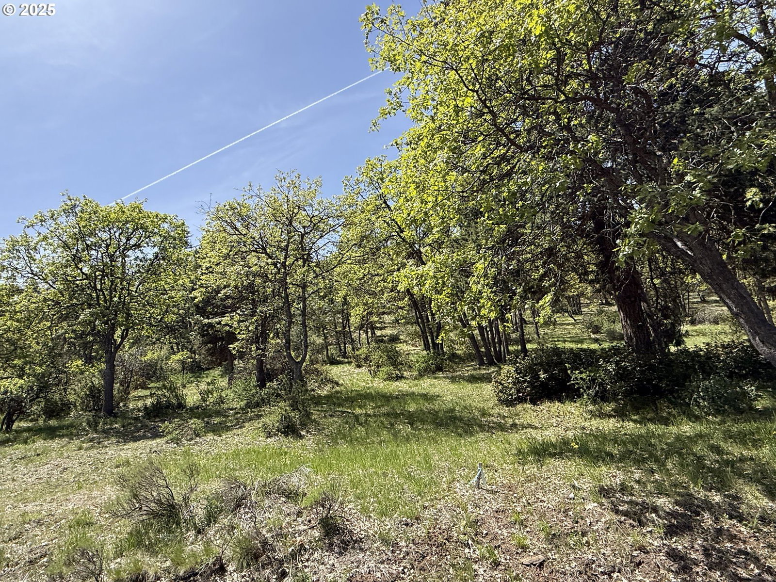 Listing photo 4 of 22, Coopers Hawk RD, Klamath Falls, OR, 97601