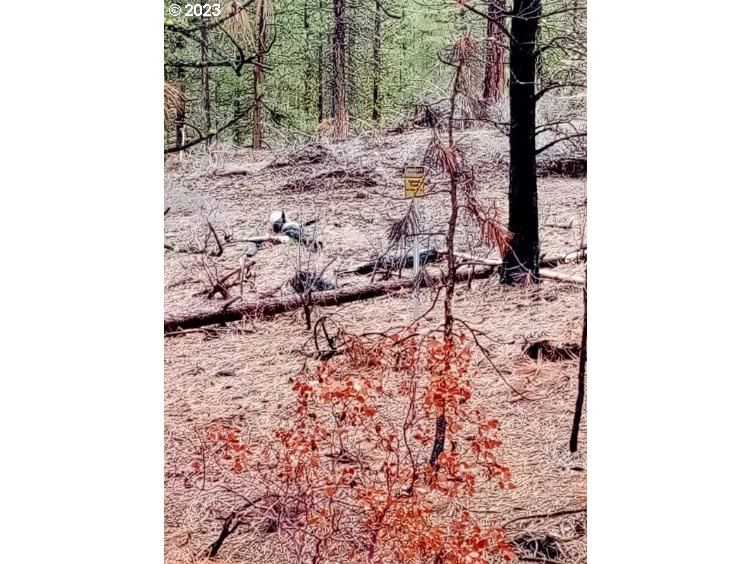 Listing photo 4 of 34, 1 Forest Rd 9715, Chiloquin, OR, 97624