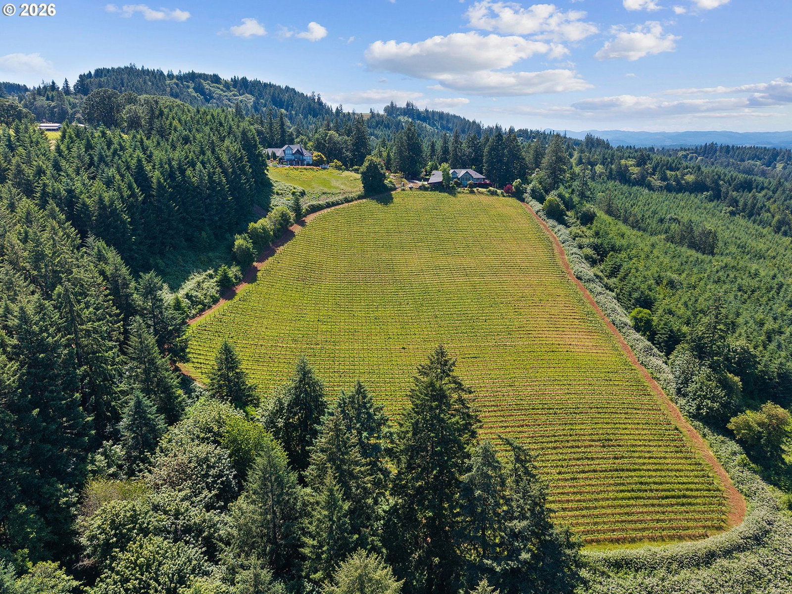 Listing photo 4 of 48, 18885 NE BUENA VISTA DR, Dundee, OR, 97115
